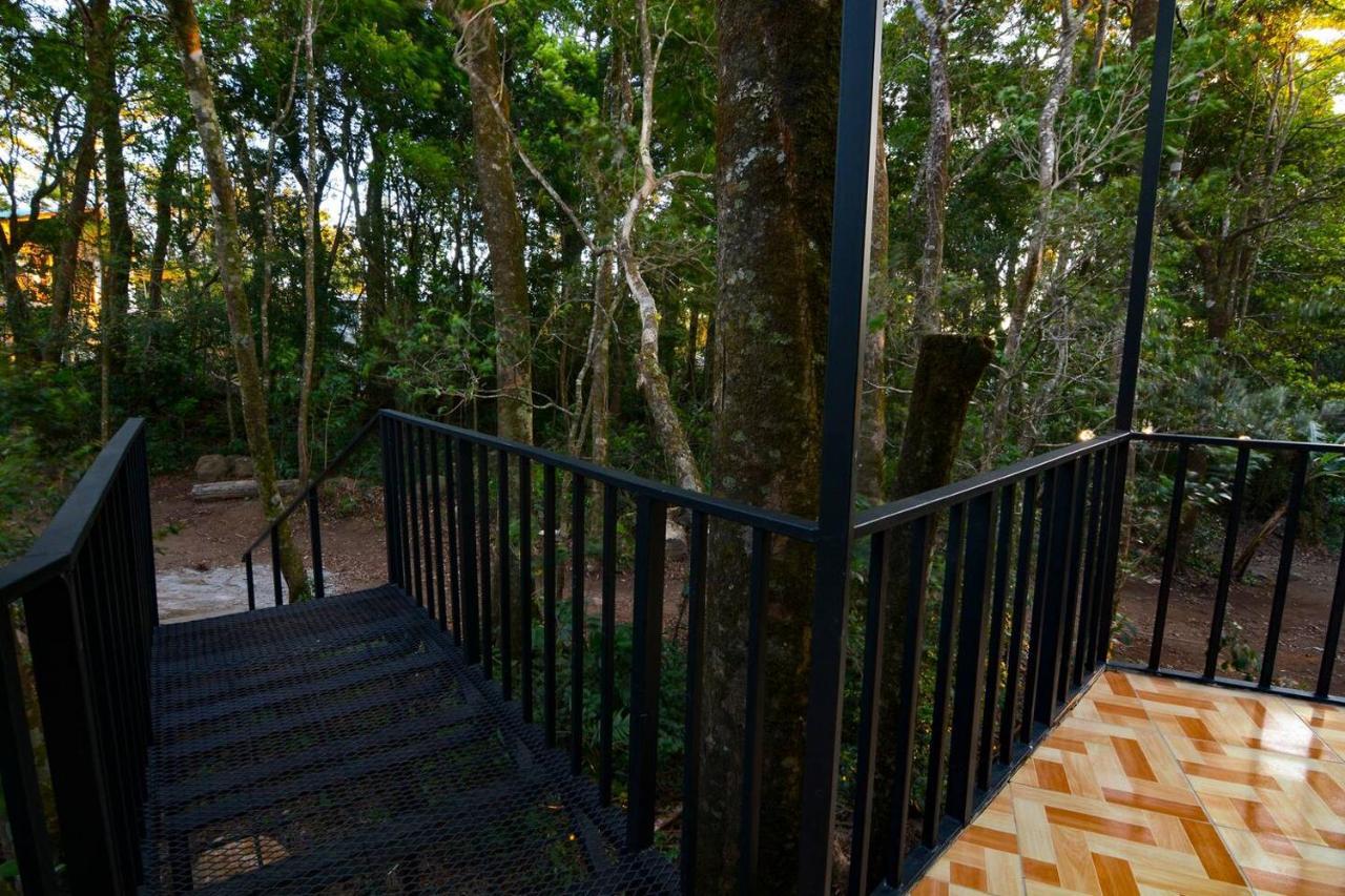 Cabanas Roca Verde Monteverde Εξωτερικό φωτογραφία
