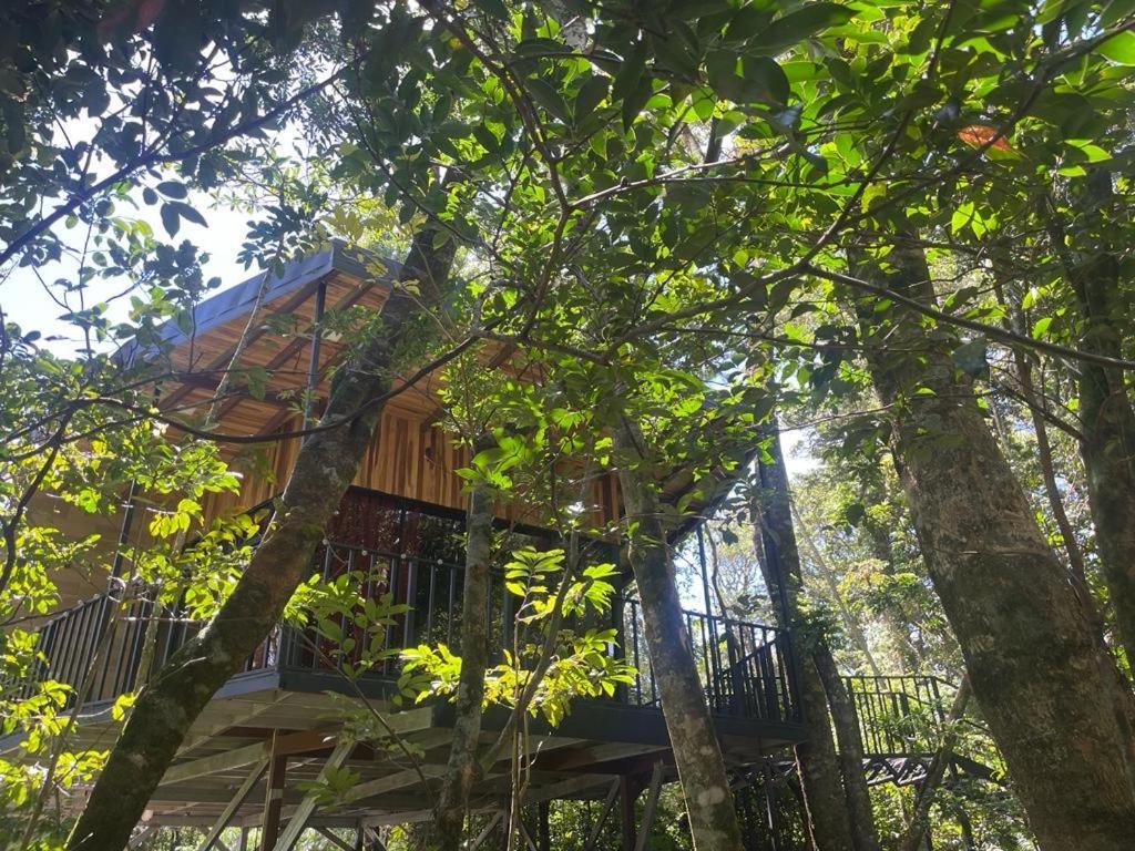 Cabanas Roca Verde Monteverde Εξωτερικό φωτογραφία