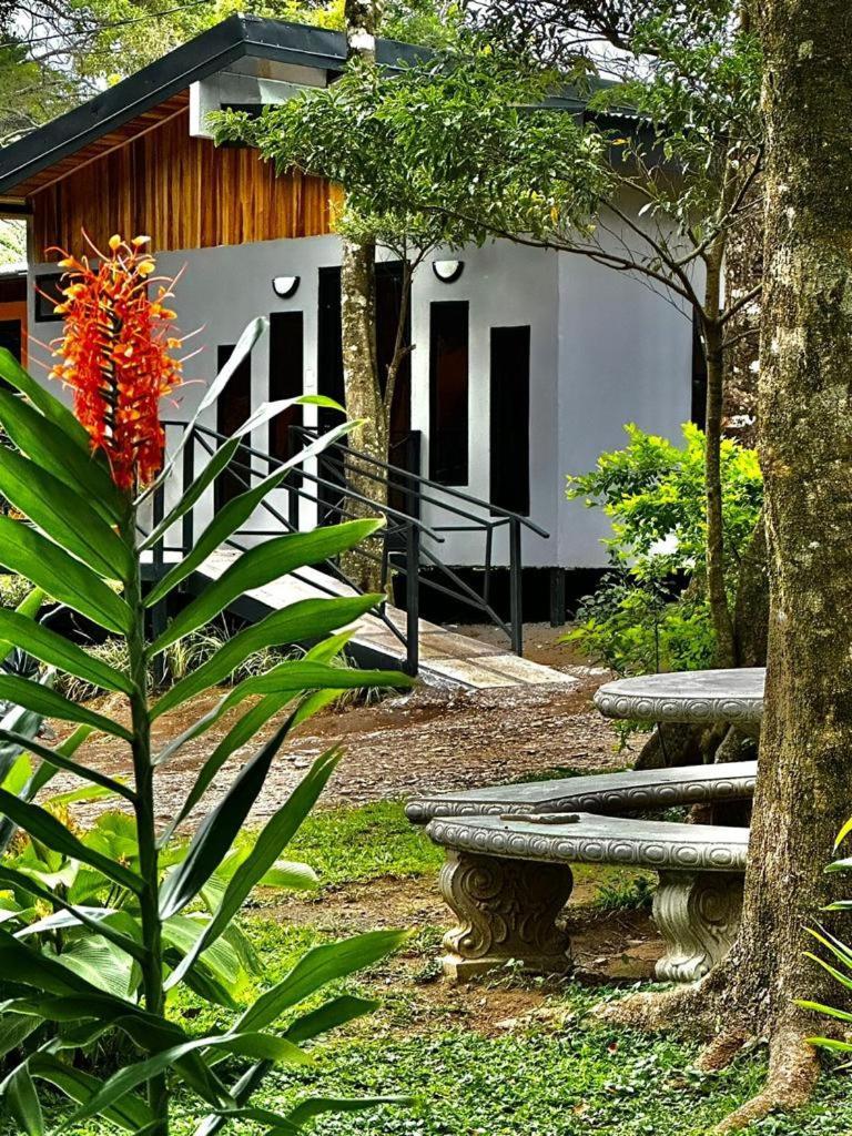 Cabanas Roca Verde Monteverde Εξωτερικό φωτογραφία