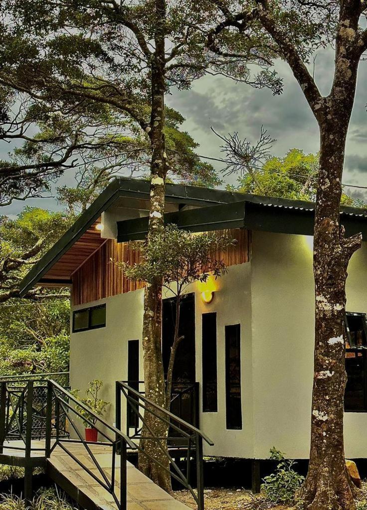 Cabanas Roca Verde Monteverde Εξωτερικό φωτογραφία