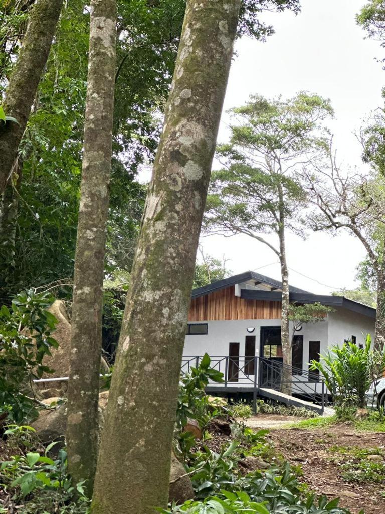 Cabanas Roca Verde Monteverde Εξωτερικό φωτογραφία